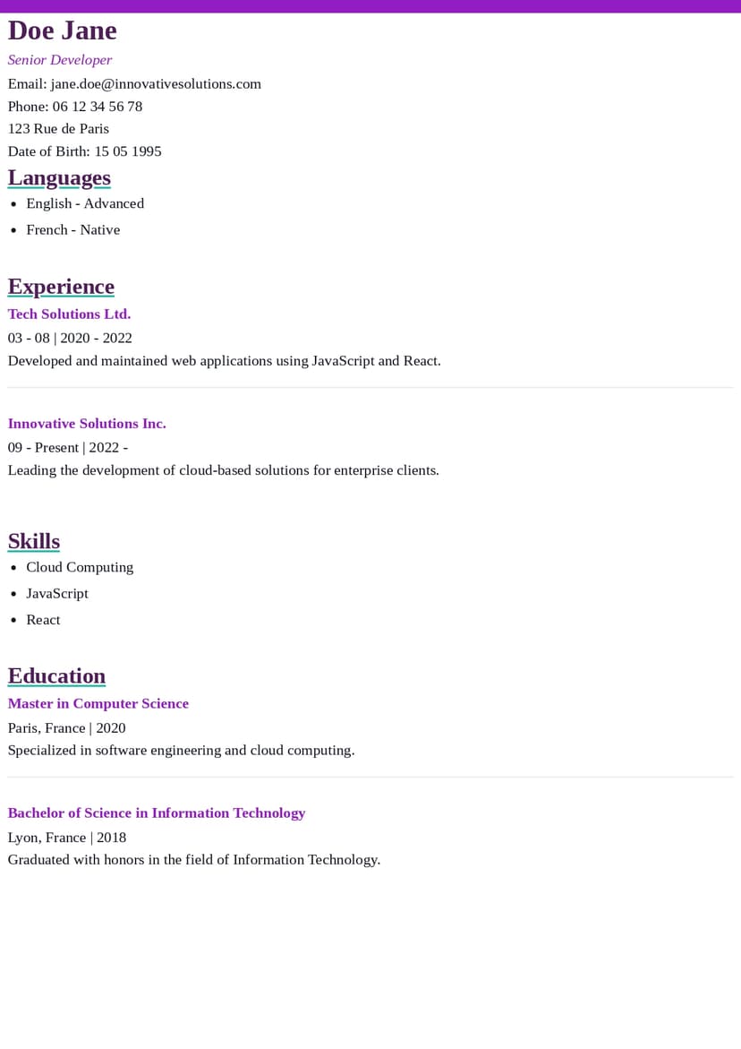 Professional Template